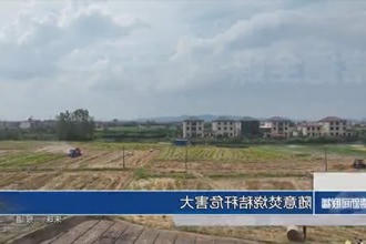 随意焚烧秸秆危害大