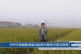 秋天的和声 港中坪村的变化