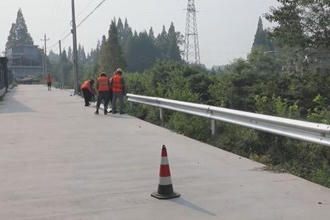 安乡：推进生命防护工程 为道路系上