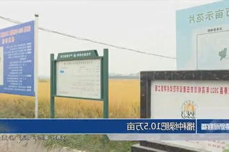 汉寿：播种绿肥10.5万亩