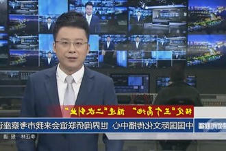 中国国际文化传播中心、世界闽侨联谊会来我市考察座谈