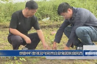 汉寿：西洞庭湖国家级自然保护区新增7种植物