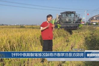 港中坪村：晚稻收割忙 