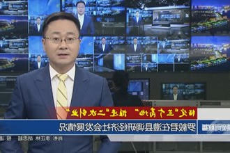 罗毅君在澧县调研经济社会发展情况