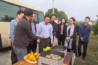 赖明勇在常德围绕