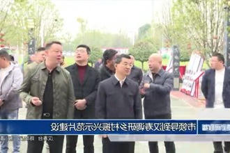 市领导到汉寿调研乡村振兴示范片建设