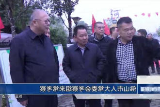 佛山市人大常委会考察组来常考察