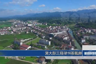 桃源茶叶斩获三项大奖