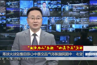 安乡：中国洞庭湖农产品交易中心项目建设如火如荼