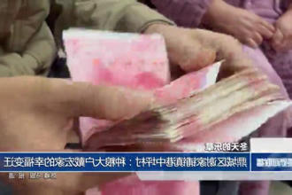 鼎城区谢家铺镇港中坪村：种粮大户戴宏家的幸福变迁