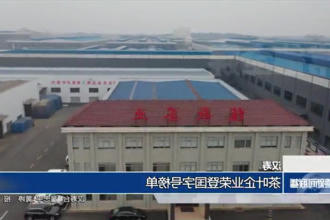 汉寿：茶叶企业荣登国字号榜单