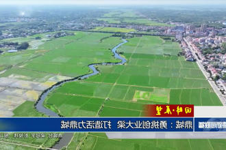 回眸•展望 鼎城：勇挑创业大梁 打造活力鼎城