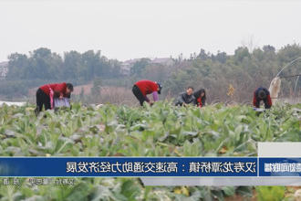 汉寿龙潭桥镇：高速交通助力城市经济概况