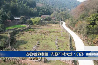 石门：壮大林下经济 蓄势绿色崛起