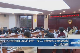 市领导参加市政协机关第一党支部2024年度组织生活会暨党员大会
