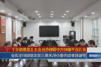 罗毅君参加常德市委办机关第三党支部组织生活会