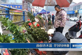 春种好时节 苗木市场俏