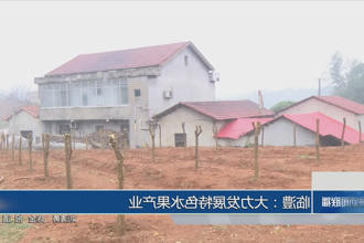 临澧：大力发展特色水果产业