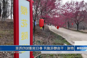 鼎城：千亩樱花盛开 春日浪漫如约而至