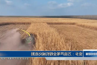 安乡：万亩芦苇全程机械化收割
