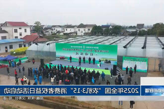 2025年全国