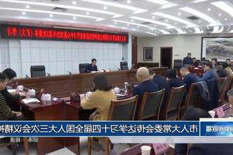 市人大常委会传达学习十四届全国人大三次会议精神