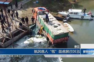 汉寿：近30万尾鱼苗