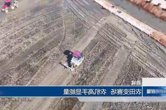 鼎城：农田变赛场 农机高手显能量