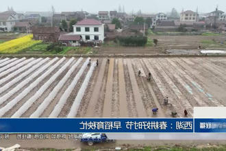 西湖：春耕好时节 早稻育秧忙
