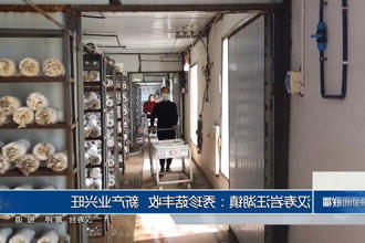 汉寿岩汪湖镇：秀珍菇丰收 新产业兴旺