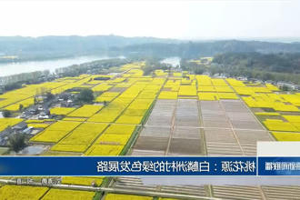 新澳门葡京在线娱乐：白麟洲村的绿色发展路