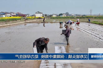 汉寿坡头镇：保障集中育秧 助力早稻生产