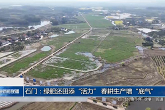 石门：绿肥还田添