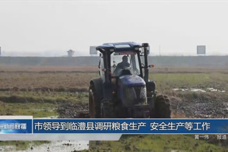 市领导到临澧县调研粮食生产、安全生产等工作
