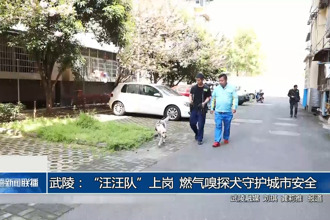 武陵：
