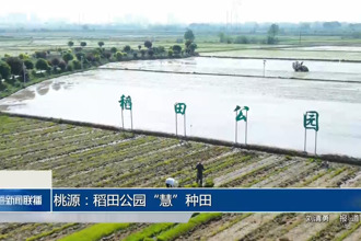 桃源：稻田公园