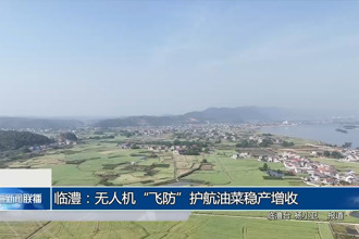 临澧：无人机