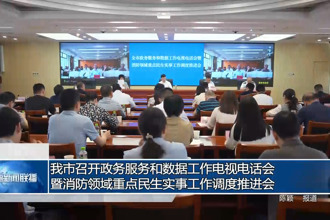 常德市召开在线服务平台和数据工作电视电话会暨消防领域重点民生实事工作调度推进会
