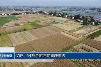 汉寿：54万余亩油菜喜获丰收