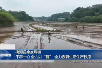 桃源县佘家坪镇：干群一心 全力以