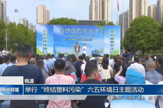 桃源：举行
