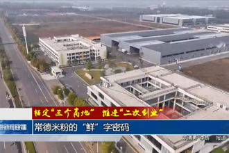 锚定