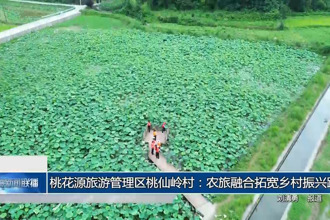澳门新葡新京在线桃仙岭村：农旅融合拓宽乡村振兴路