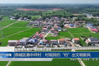 鼎城区港中坪村：村规民约