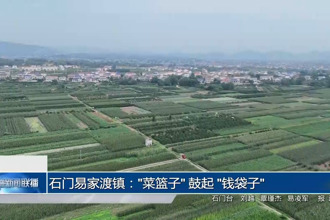 石门易家渡镇：