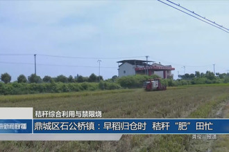 鼎城区石公桥镇：早稻归仓时 秸秆
