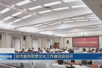 常德市宣传思想文化工作座谈会召开