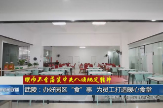 武陵：办好园区