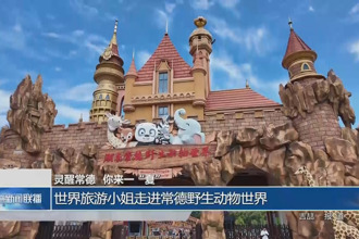 世界旅游小姐了解城市概况野生动物世界