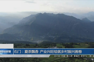 石门：夏茶飘香 产业兴旺绘就乡村振兴画卷